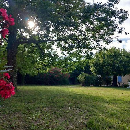 Le Petit Mas Des Alpilles En Provence Villa Saint-Etienne-du-Gres Ngoại thất bức ảnh