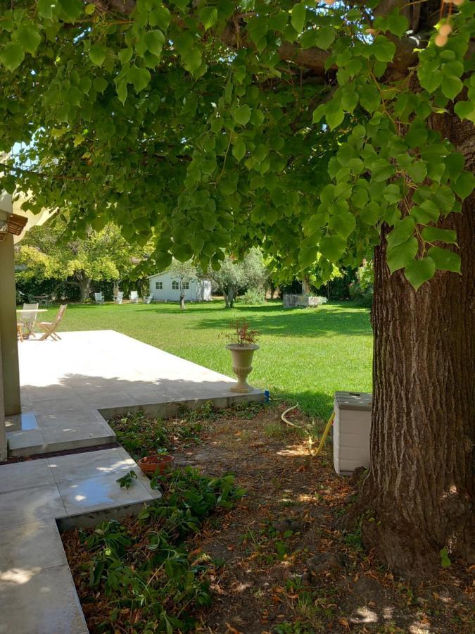 Le Petit Mas Des Alpilles En Provence Villa Saint-Etienne-du-Gres Ngoại thất bức ảnh